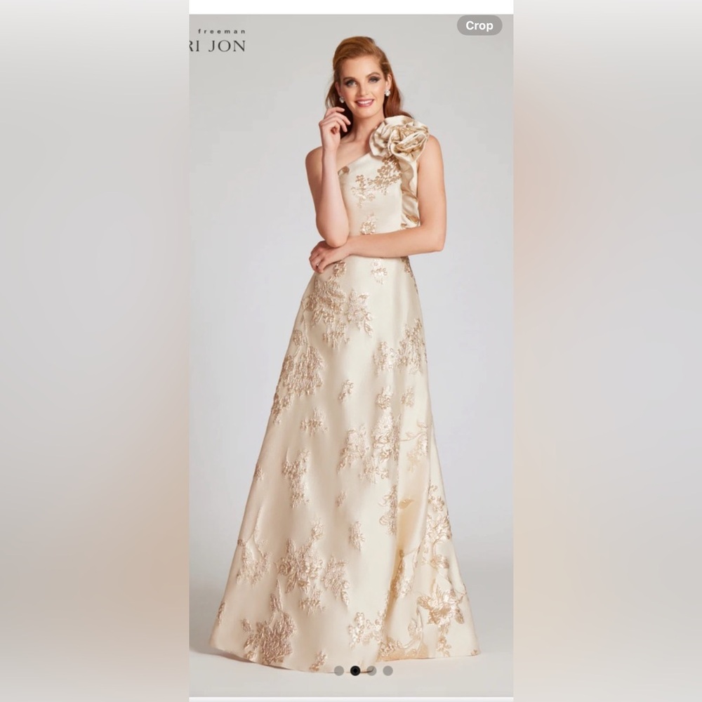 Terri Jon Cream and Gold Embroidered Dress